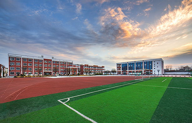 学校教育